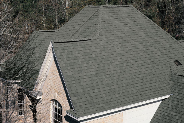 Landmark Pro Shingles